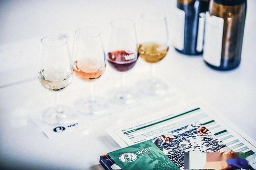 WSET在華暫停課程與考試，酒類培訓(xùn)機(jī)構(gòu)接受調(diào)查引發(fā)行業(yè)關(guān)注